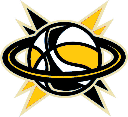 South Florida Gold 2013-Pres Primary Logo iron on heat transfer